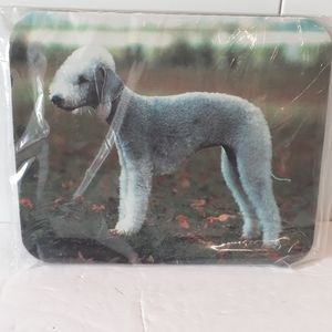 Sold Out Not For Sale